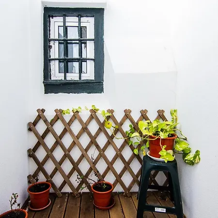 New Bairro Alto
